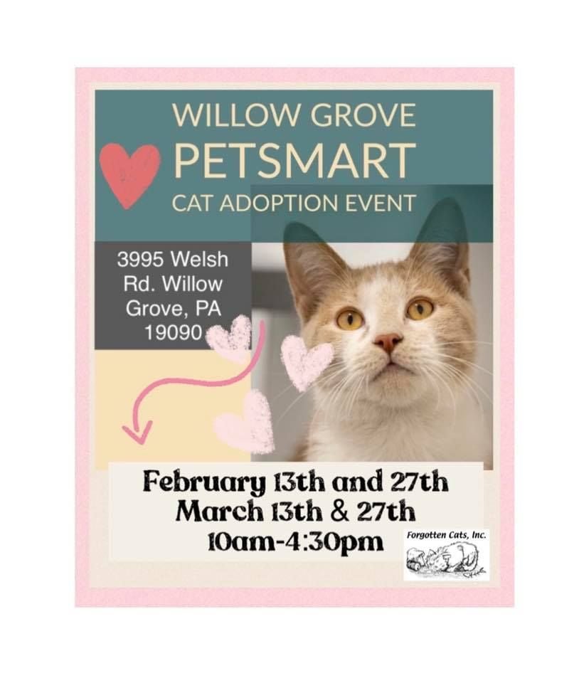 Plan Your Weekend Now: Weekend Bucket List ~ February 12 - 14