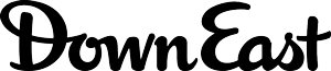 logo {{@index}}