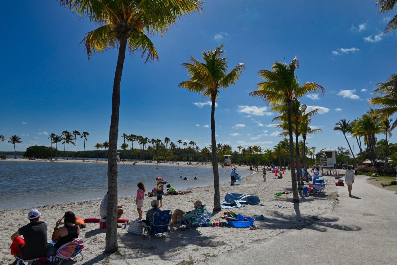 The Ultimate Neighborhood Guide to Coral Gables
