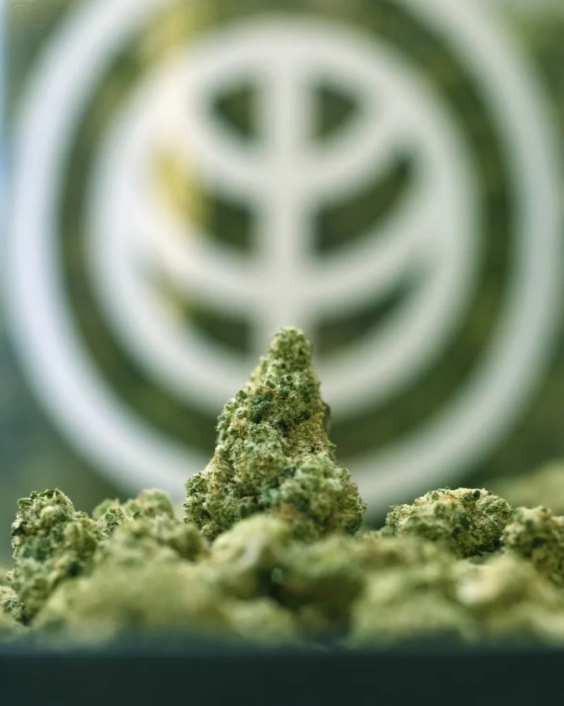 What are the different types of cannabinoids, and what are their effects?