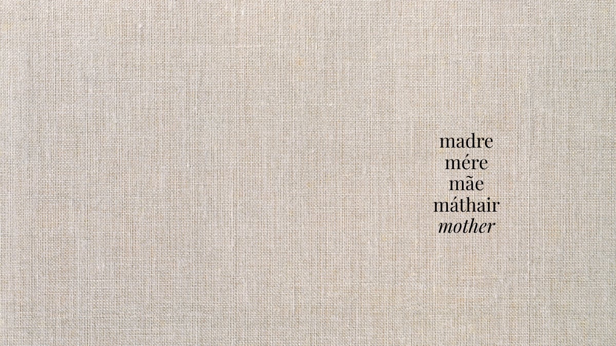 Mother’s Day Ideas Around Clayton & Concord