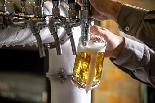 Great Breweries in Sonoma County, California!