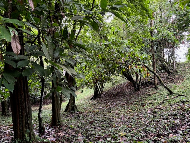 17.85 ACRES – Stunning Large Land With 2 Waterfalls Near Dominical Beach!!!