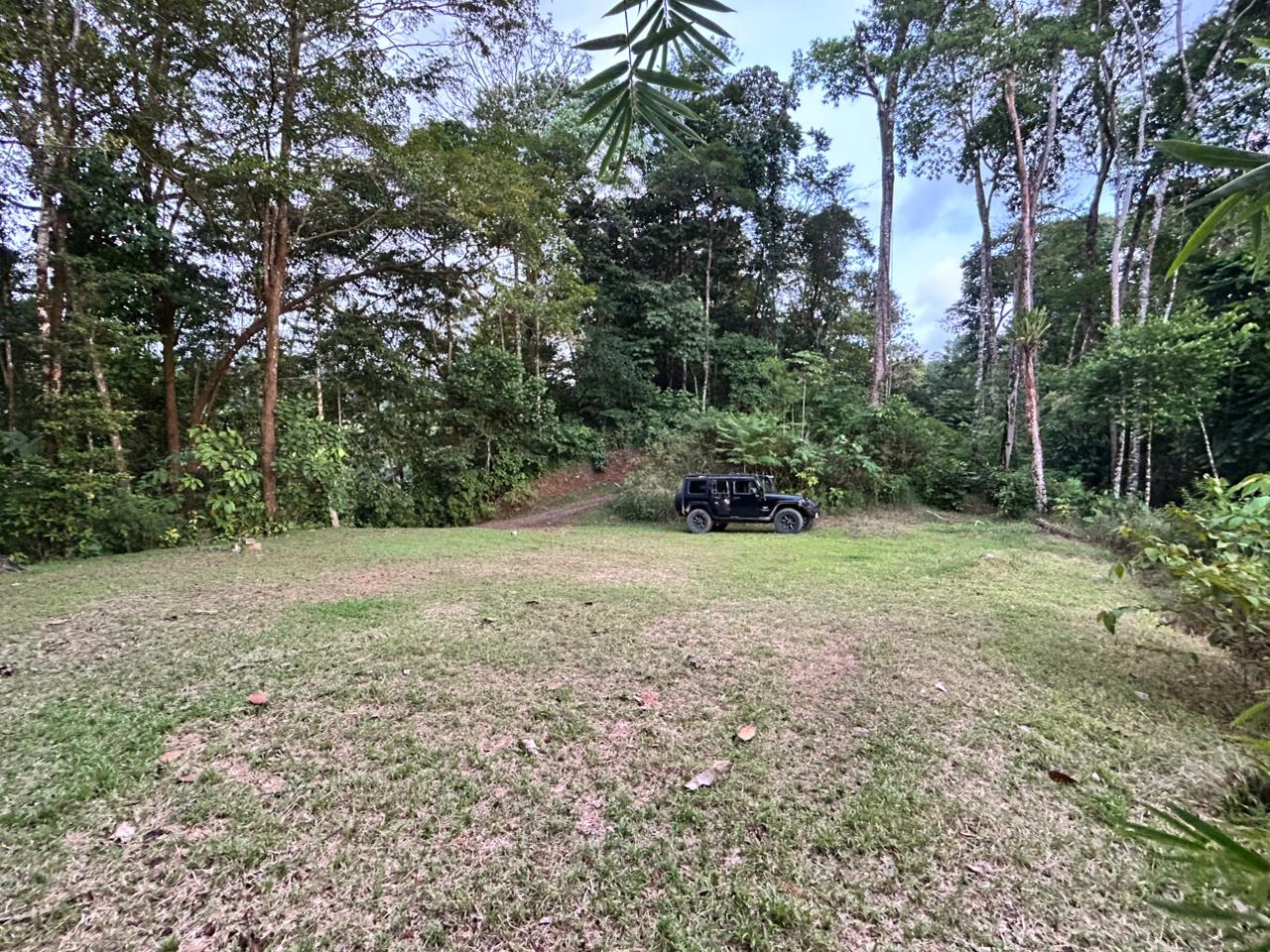 1.7 Acres Ocean View Lot with Producing Cabin in Uvita
