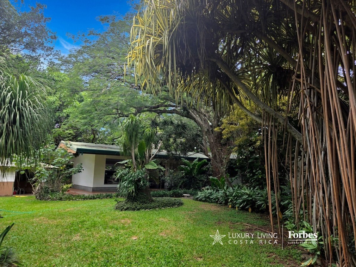 Single-level villa partly hidden by a lush tropical garden, lawn, and large aerial roots.