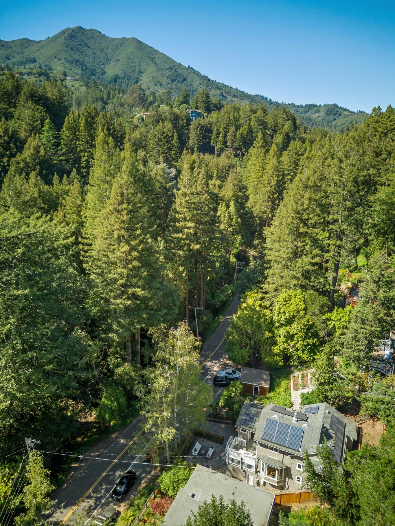 334 West Blithedale