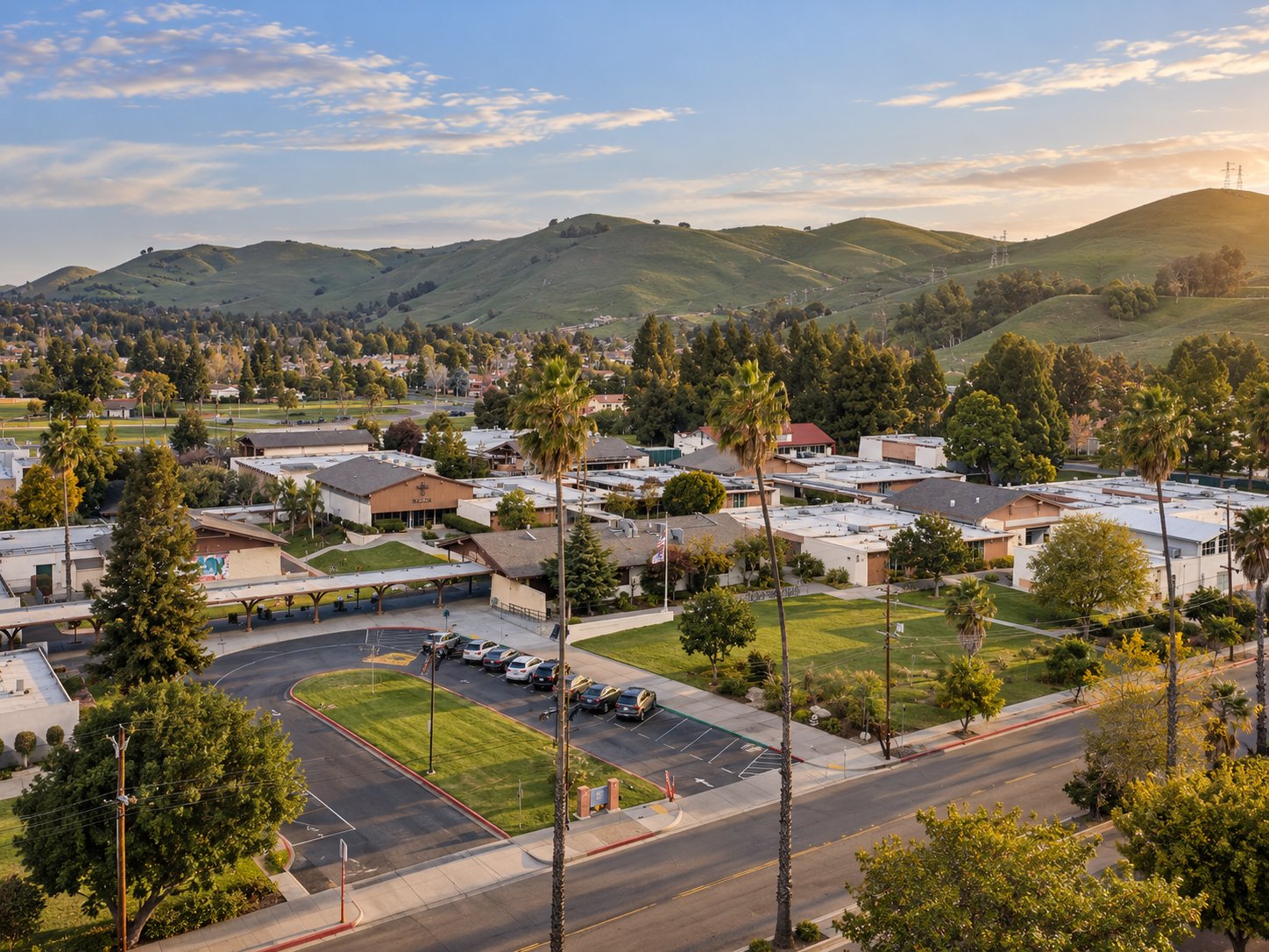 Suburban neighborhood and palm trees below rolling green hills at golden hour.