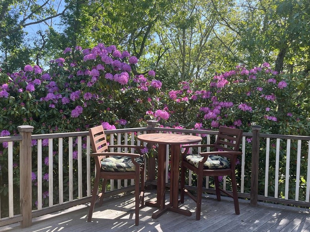 62 Windsor Dr