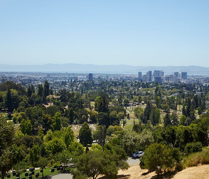 Piedmont Avenue