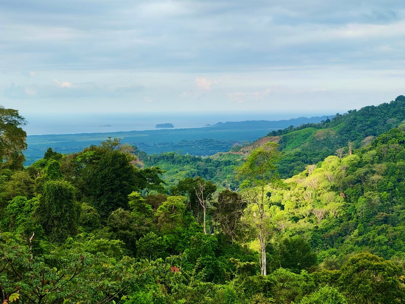 24.7-Acre Ocean View Eco Estate in San Cristóbal de Aguirre | 5 Building Sites
