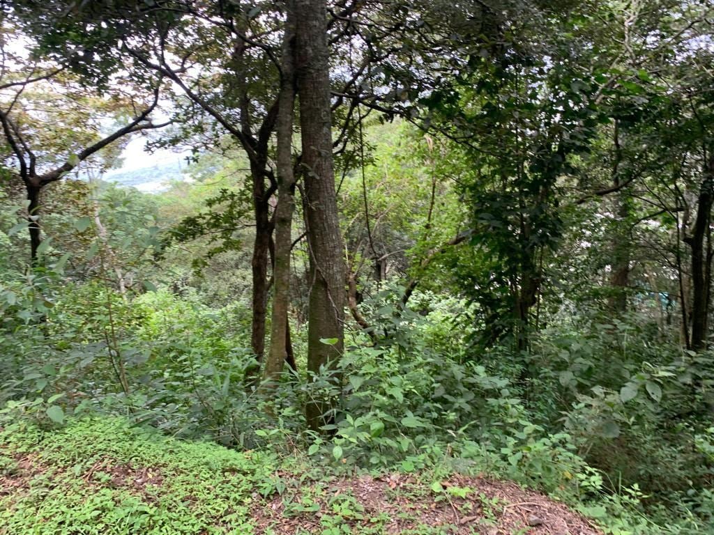 Panoramic Valley View Homesite, Santa Ana, San Jose