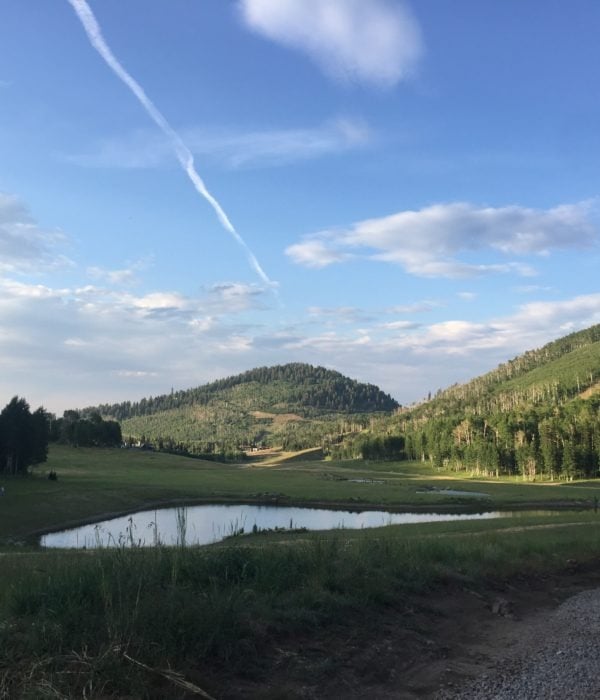 Music in the Meadows