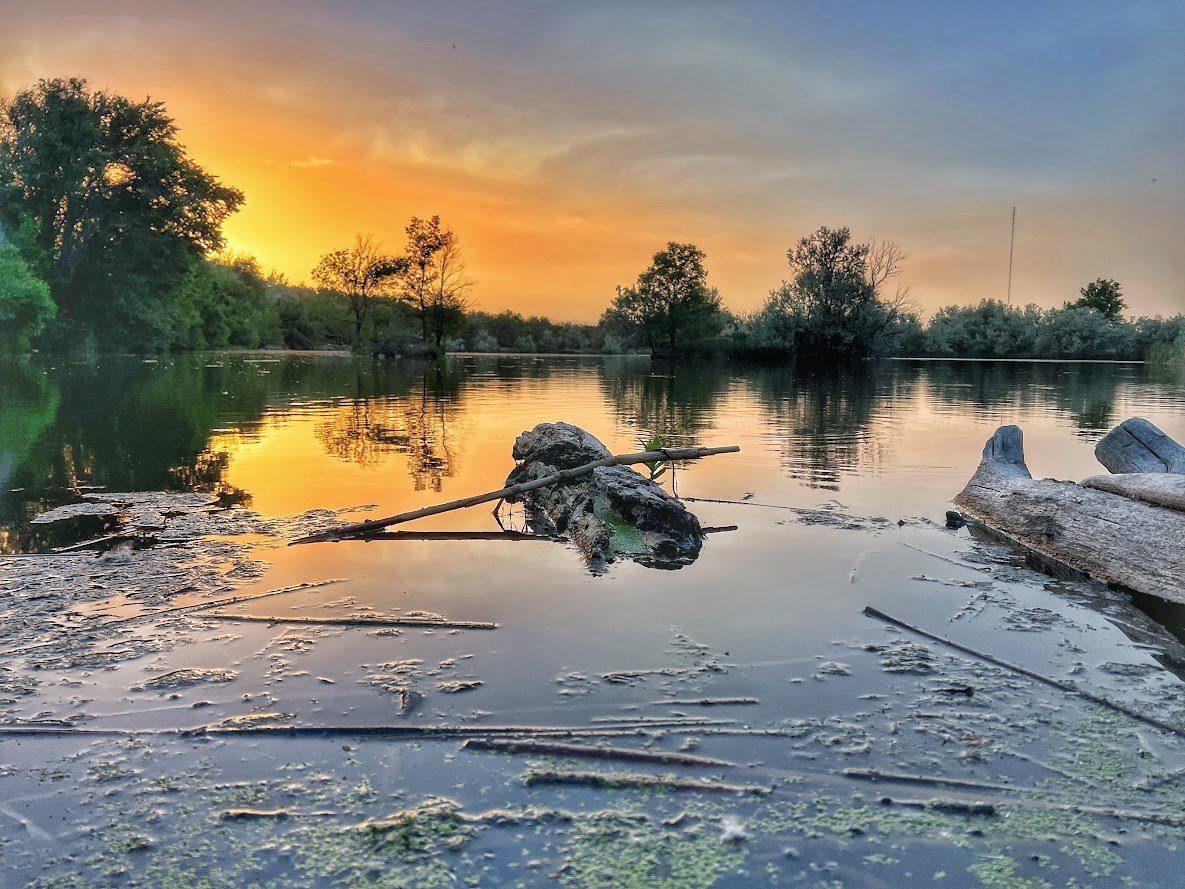 Fountain Creek Nature Center: A Must-Visit Outdoor Escape Near Colorado Springs