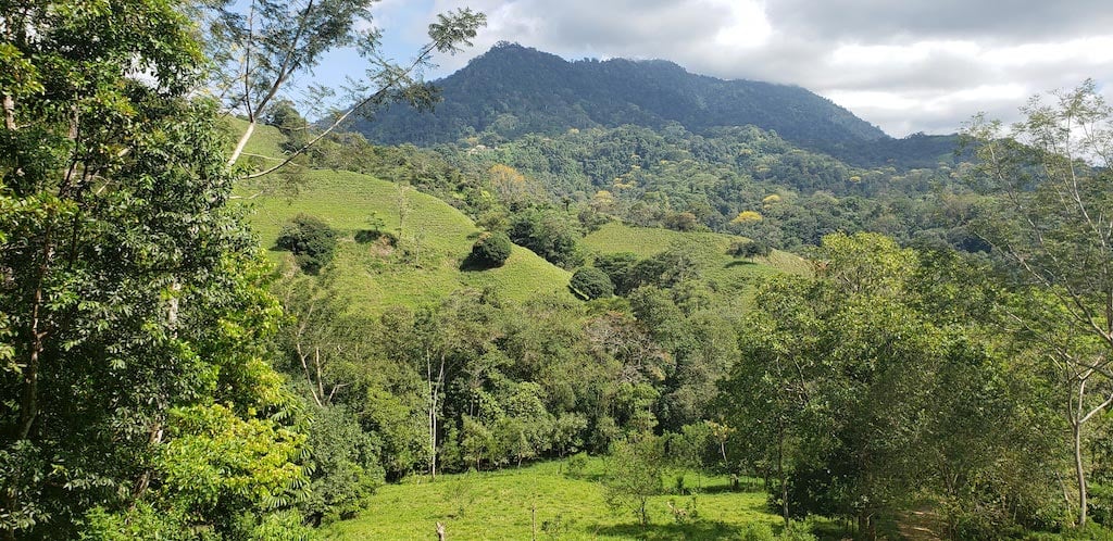 Beautiful Ready to Build Lot 