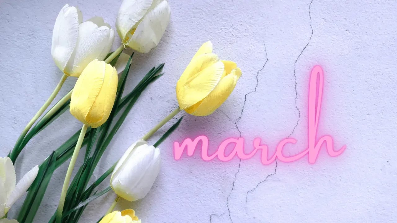 A bouquet of yellow and white tulips with the word "march" written in pink script, symbolizing the month of March and the arrival of spring.