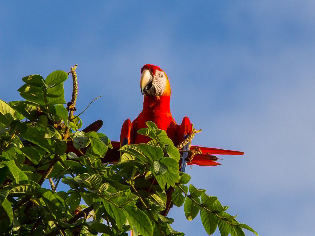 Panoramic Ocean Luxury Estate