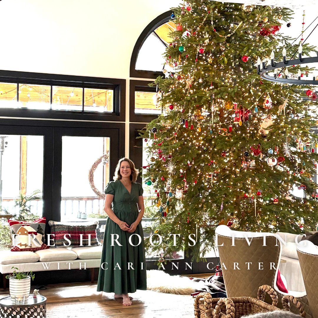 Home for the Holidays E-Book