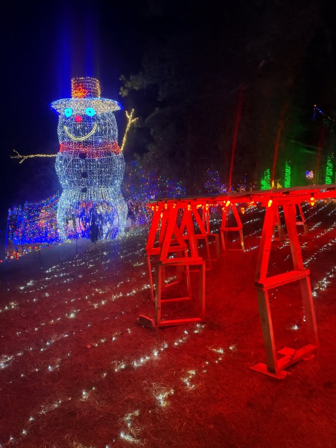 Franktown Festival of Lights 2025 – Holiday Magic in Douglas County Colorado