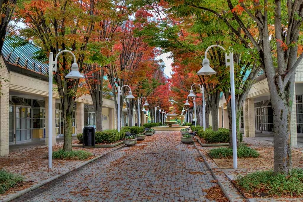 Columbia 