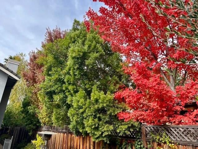 3421 Blackhawk Meadow