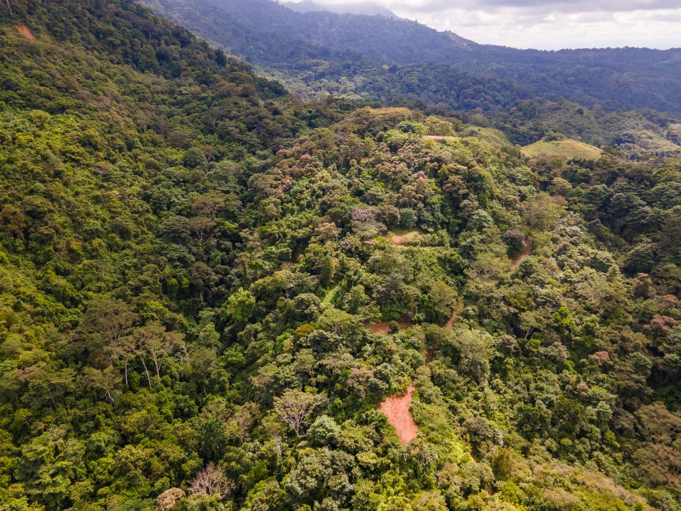 138 Acres of Ocean View Land Overlooking the Southern Zone