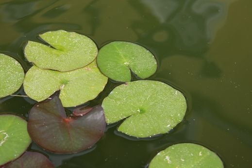 Luxury Villa Near Perugia with Pool