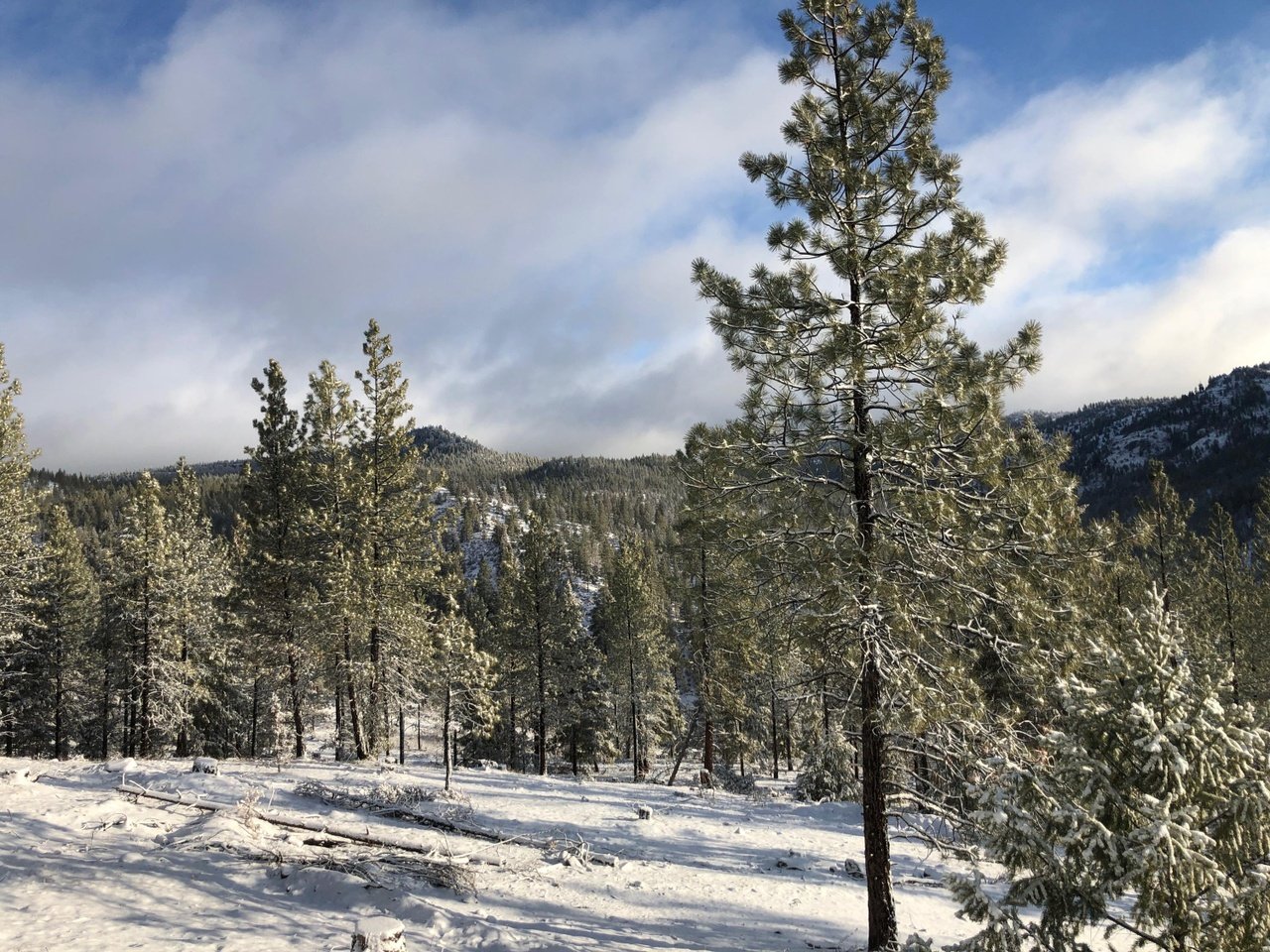  0 Allen Creek Rd