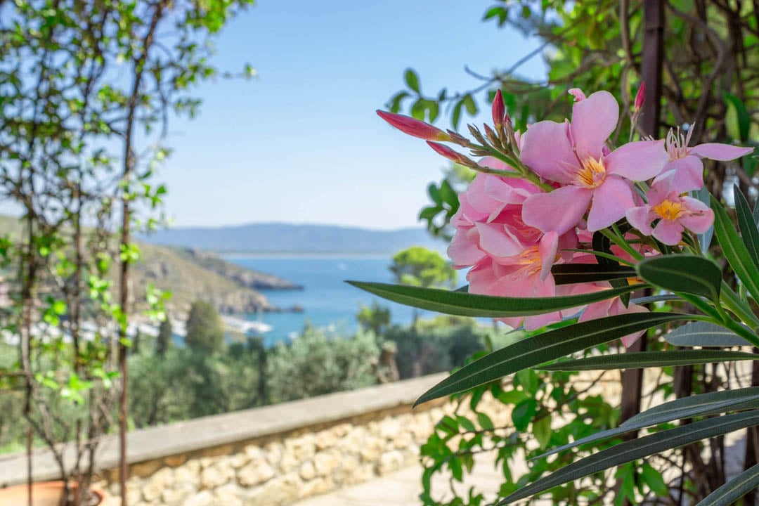 Villa - Porto Ercole - Monte Argentario