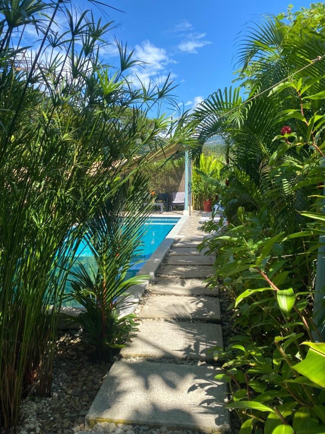 Investment Opportunity! Eco-Friendly Rental Property Near Playa Chaman and Playa Colonia
