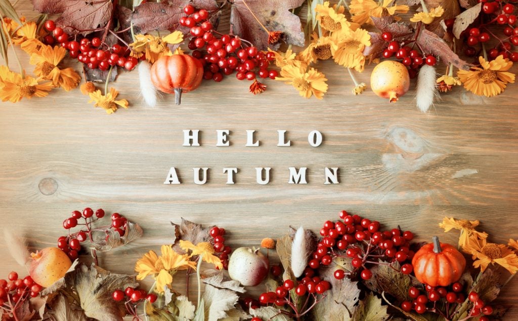 Hello Autumn Open House Tours