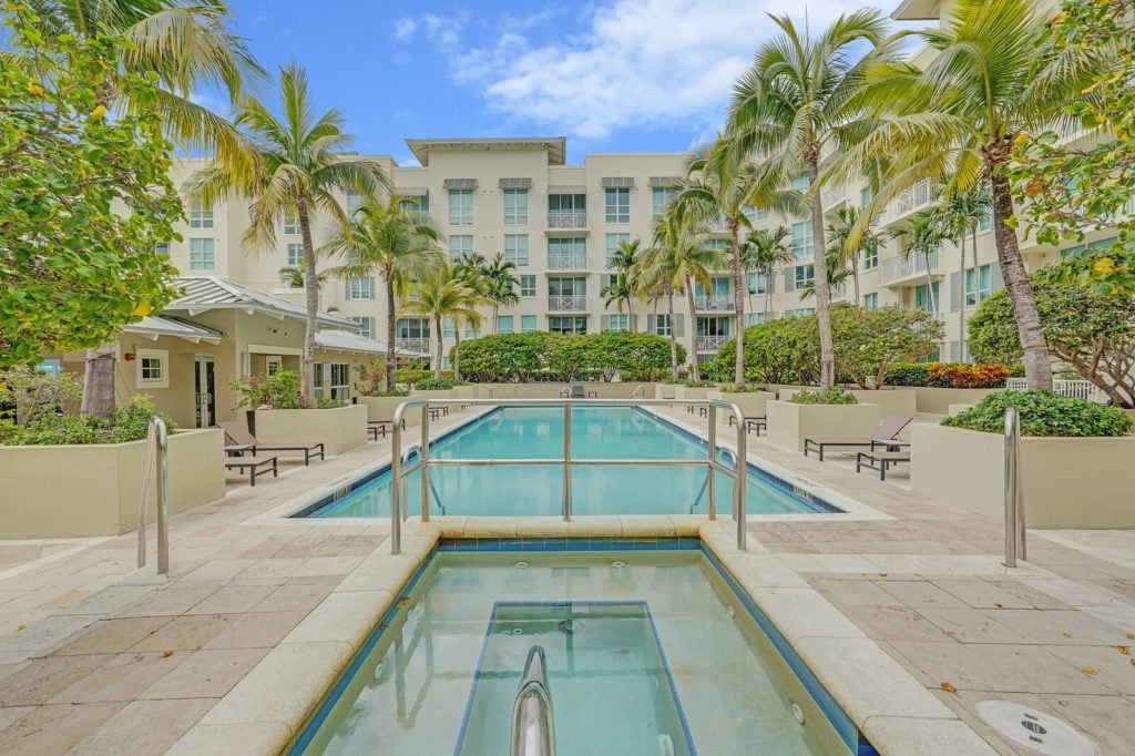 City Palms