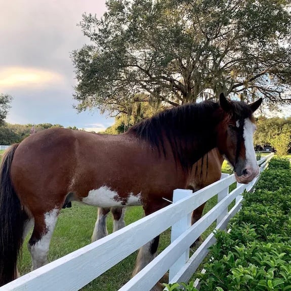 Whirlawind Ranch