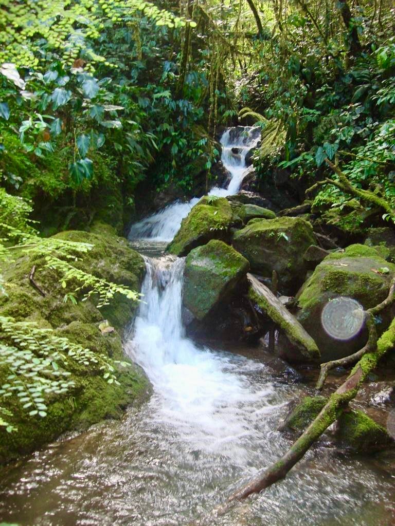 Los Cerritos Farm – 6.4 Acres of Ocean & Mountain Serenity