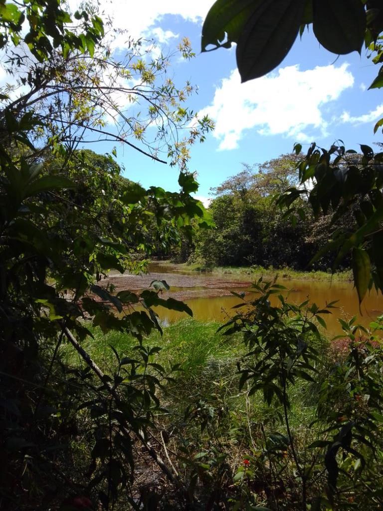 Mountain Fruit Farm Lagoon, Perez Zeledon, San Jose