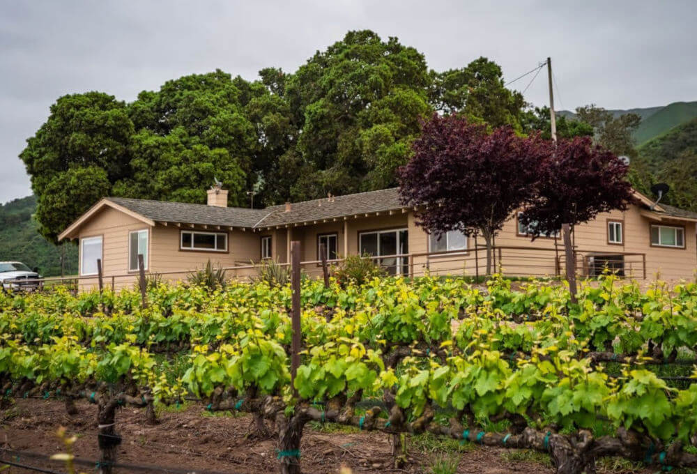 Residential home with personal vineyard
