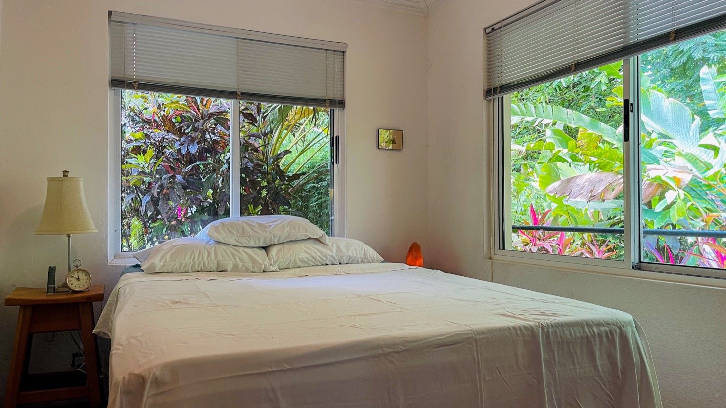 Modern House For Sale With Jungle View, Peaceful Stream, and Rental Cabins