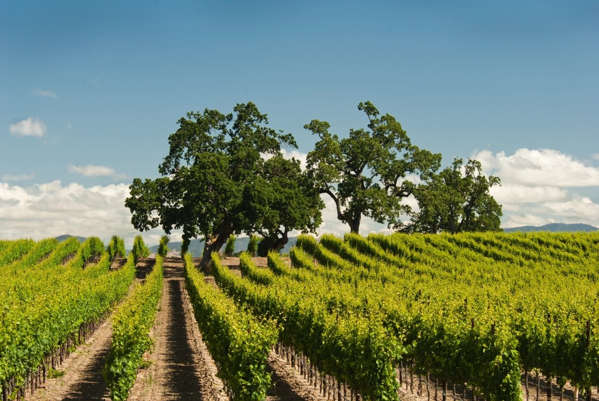 Napa County
