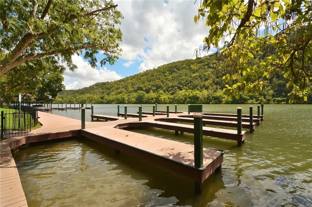 Rare Greenbelt Gem in Steiner Ranch with Major Upgrades