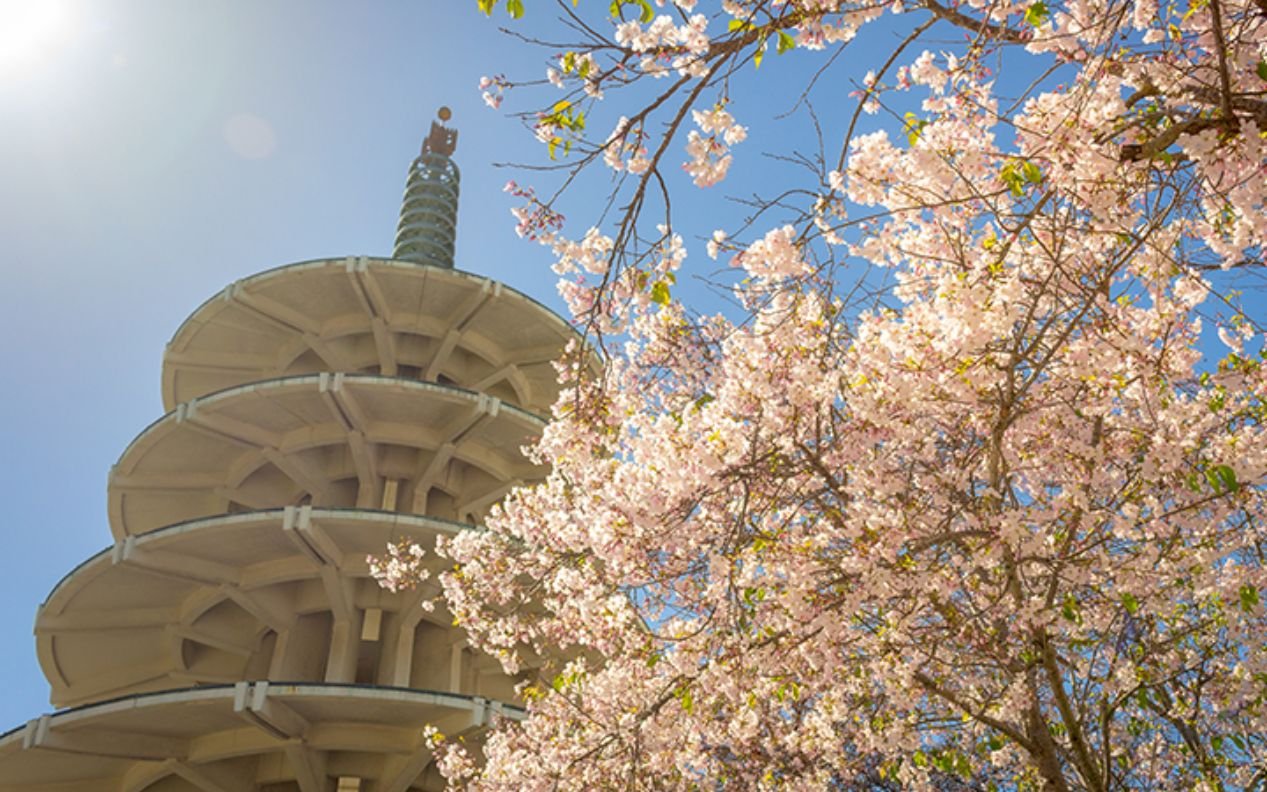 Peace Pagoda in San Francisco