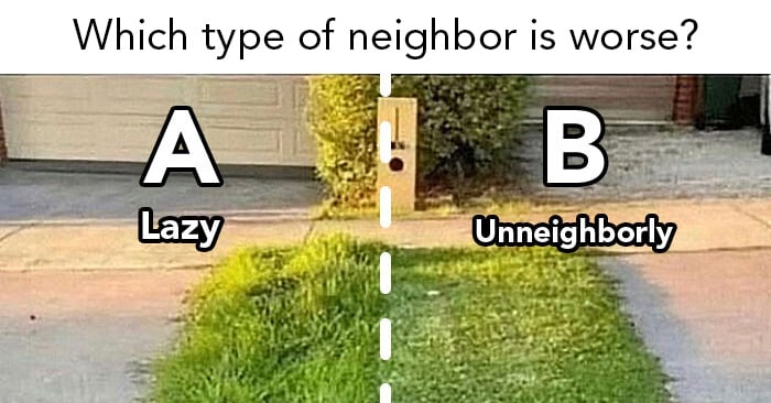Nearly Half of Homeowners Would Pay to Improve a Neighbor’s Yard—Would You?