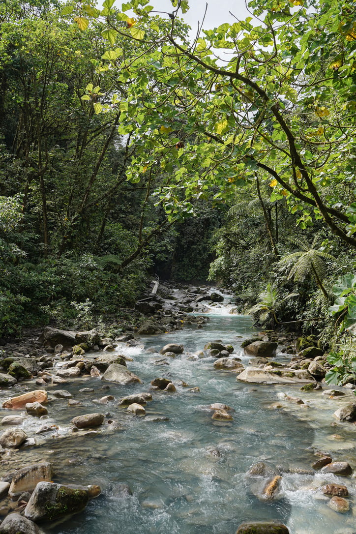 La Monarca