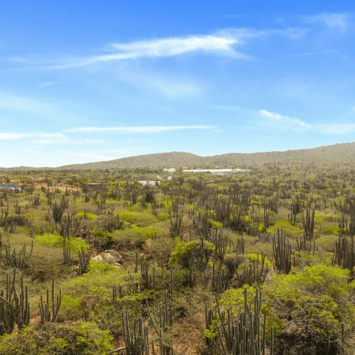 San Fuego Land