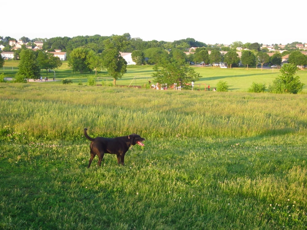 Dog Parks and pet friendly sites