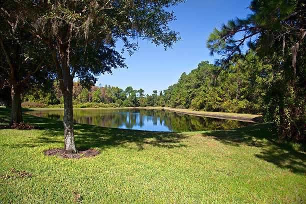 East Lake (Palm Harbor)