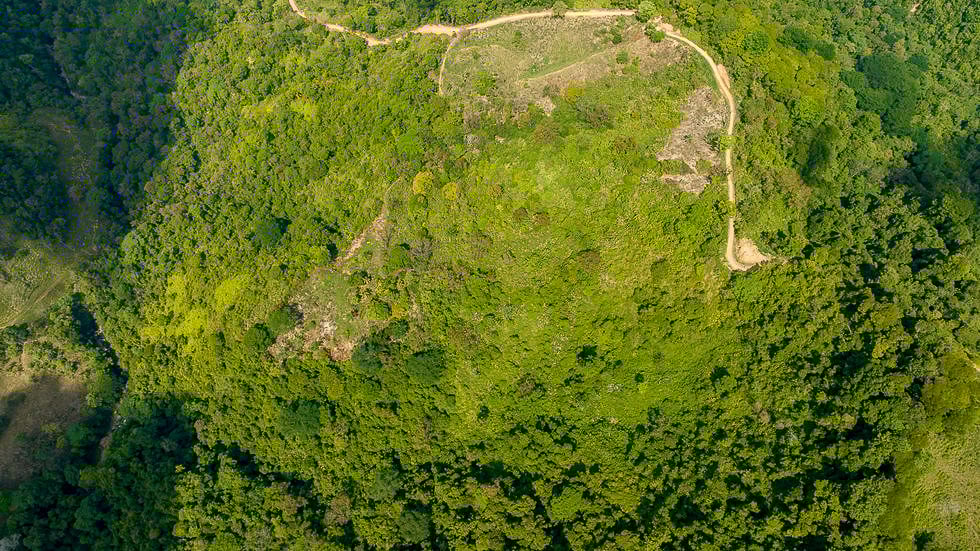 Whale Tail Views Luxury Waterfall Farm