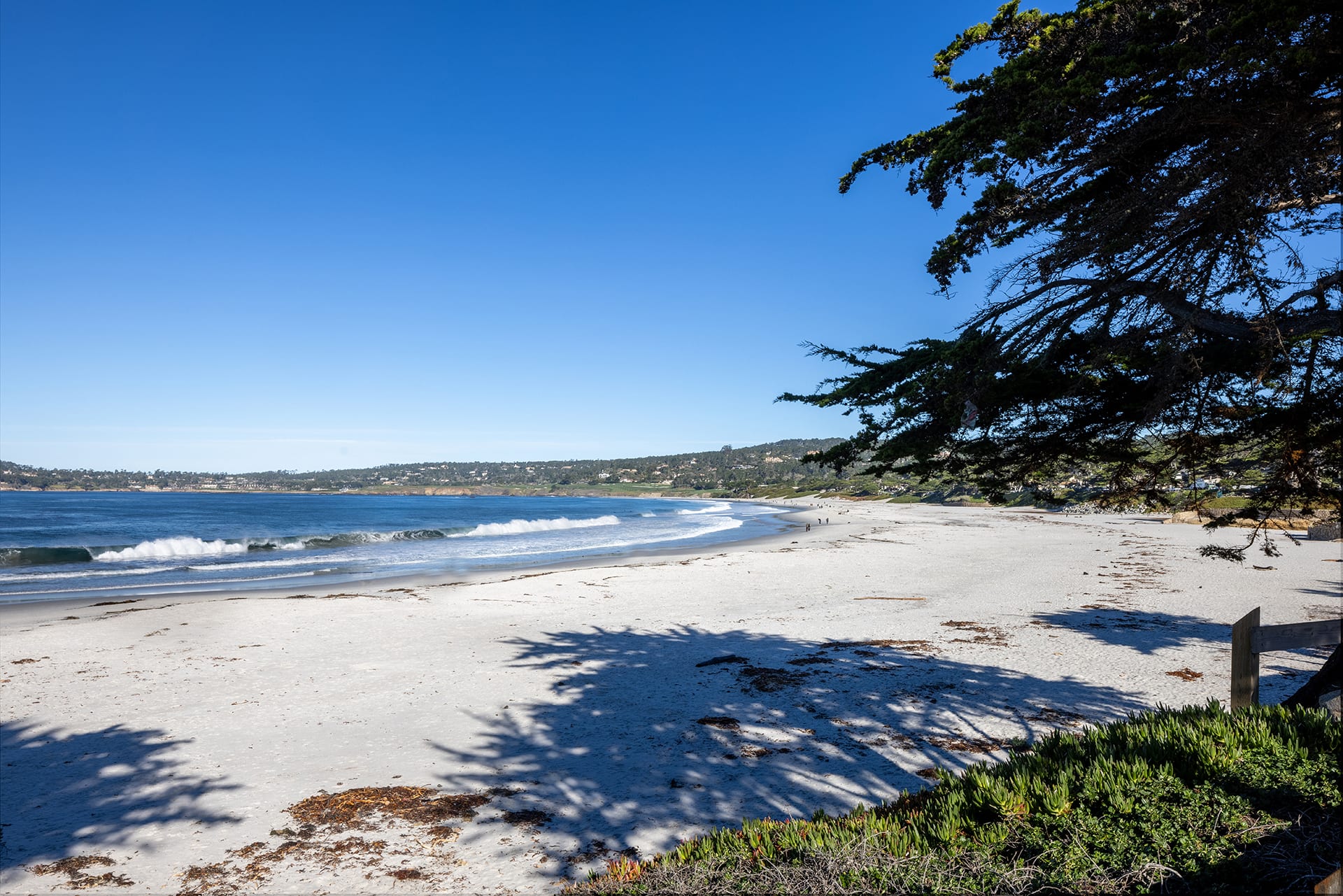 Carmel Beach Luxury Rental