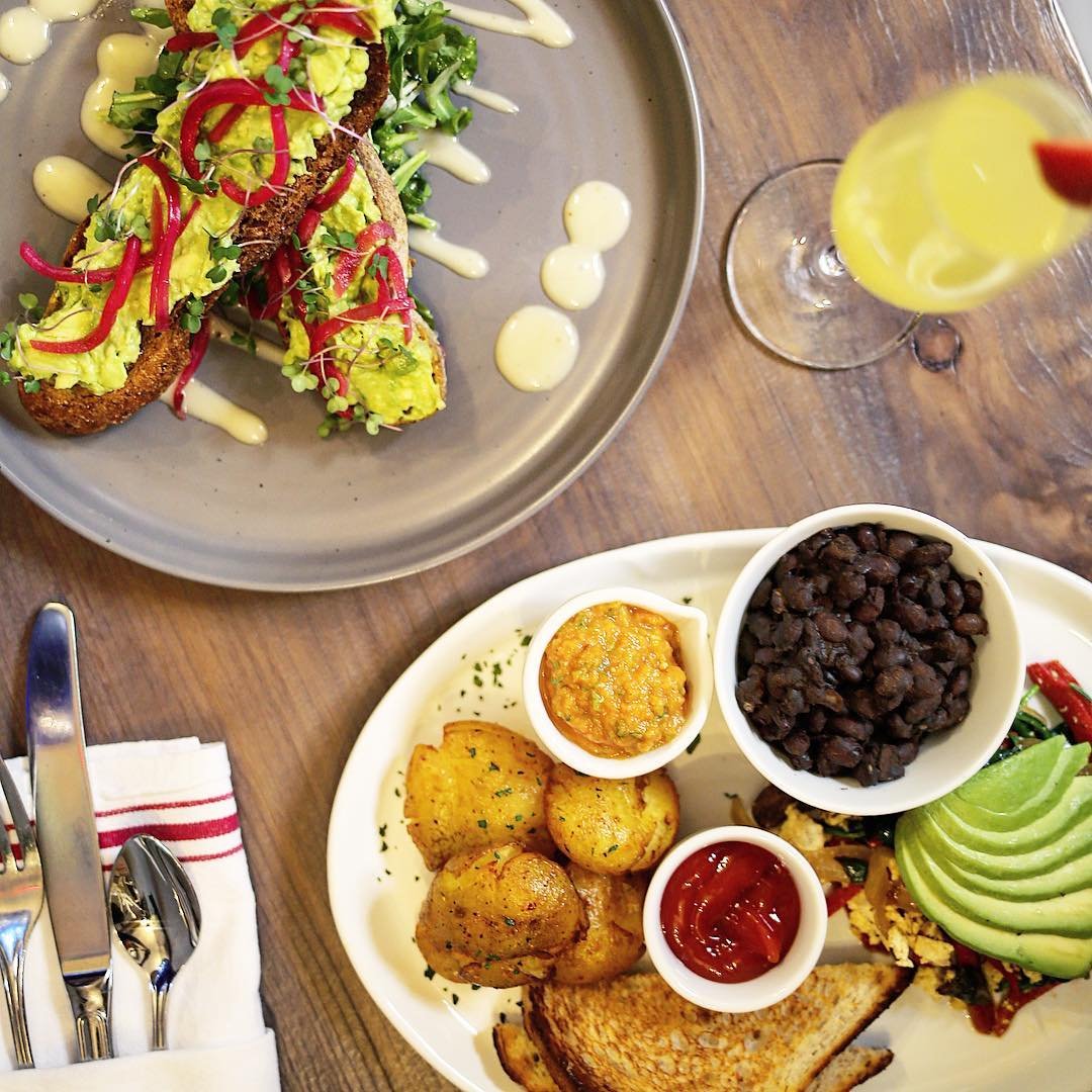 15 Best Spots for Avocado Toast in Sonoma County