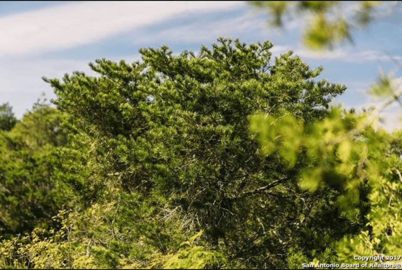 822 Acres in Uvalde Double Knobs Mountain Ranch