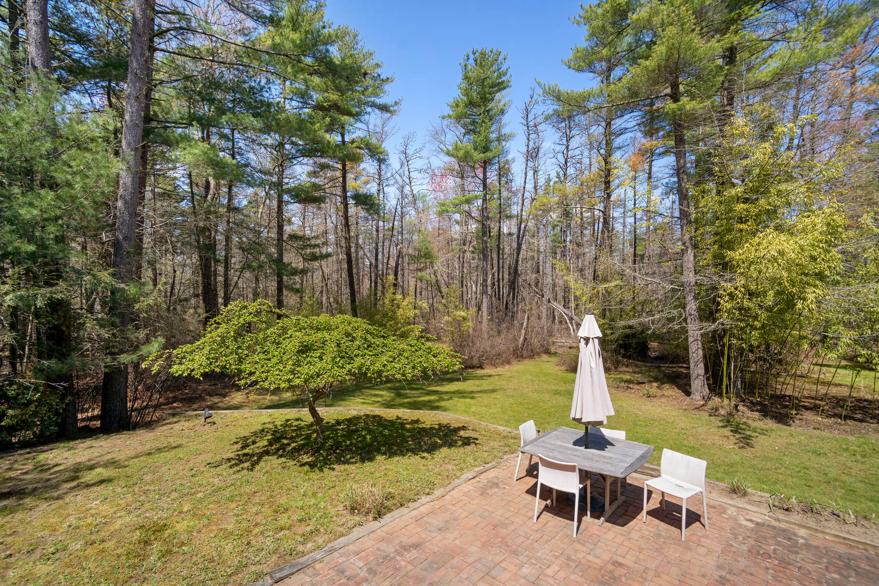 Zen-Like Getaway on Over 3.5 Acres