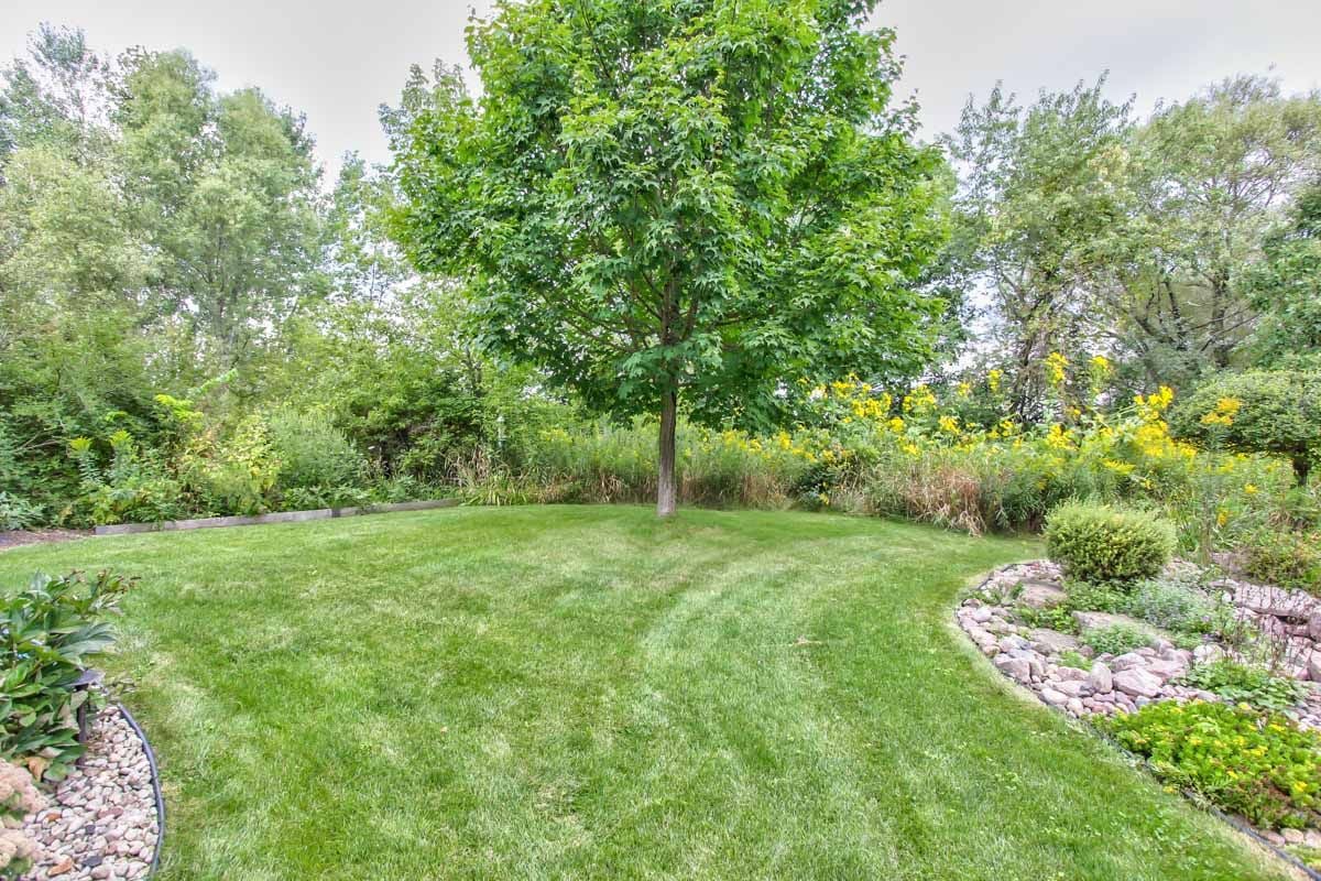 Landscaped garden with a broad lawn, central shade tree, yellow flowers, and curved rock borders.